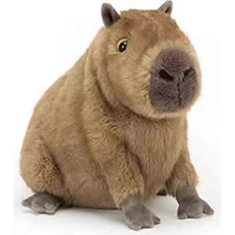 Peluche Capybara, Jouet en peluche, Cadeau pour enfants, 40 cm, Lavable (1/5)