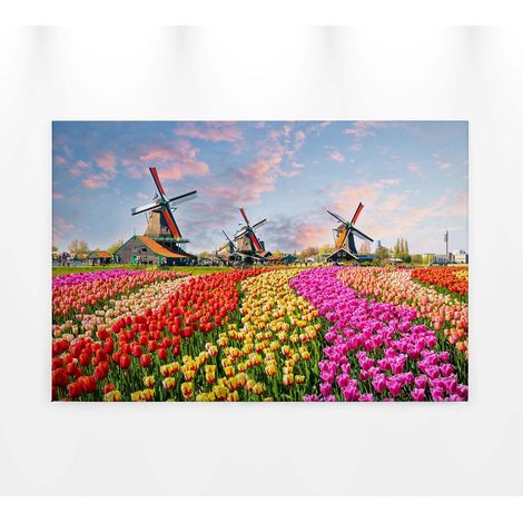 Tableau paysage champs coloré | Tableau sur toile multicolore moulin et tulipe | Tableau printemps fleuri pour salon et chambre - 0,9 x 0,6 m (1/5)