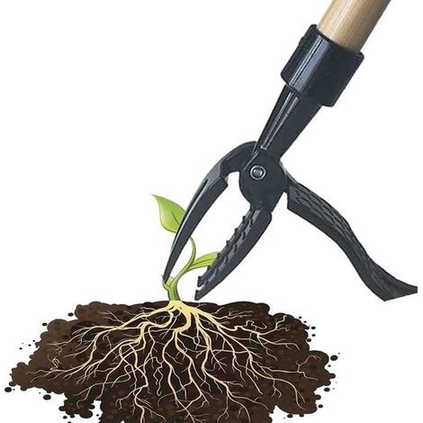 Tête de rechange pour arrache-mauvaises herbes – Arrache-mauvaises herbes en métal pour une utilisation debout – Outil manuel pour le jardin et la pelouse (sans se baisser ni s'agenouiller) – (Manche (1/2)