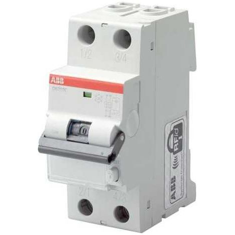 Interruttore Magnetotermico Differenziale DS202C C32 AC300 2P 6K (DS2CC32AC300)