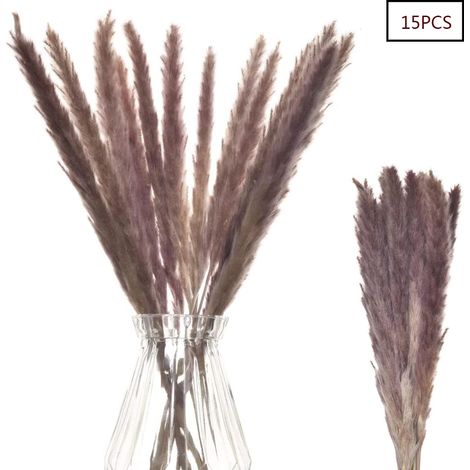 Lot de 15 Herbe de la pampa, 70 cm, beige naturel, tiges 15-30 cm, décoration intérieur extérieur (1/5)