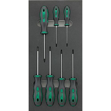 Fortis Werkzeugmodul 1/3 Schraubendreher Torx (1/3)