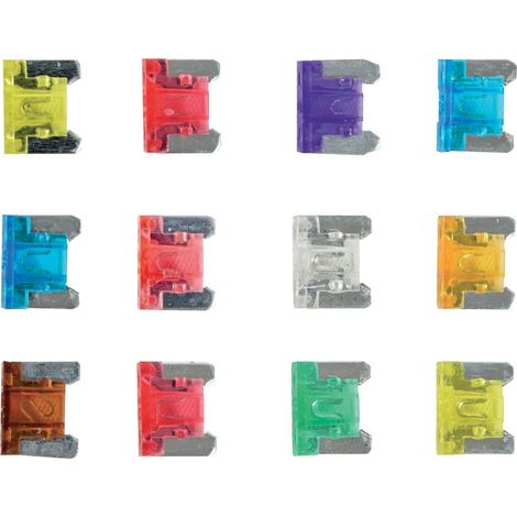 Micro fusibles x 12 (1/4)