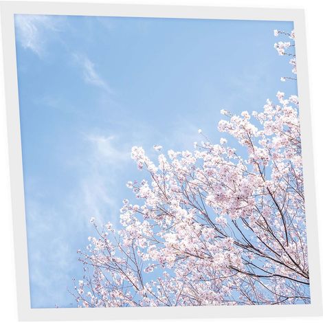 Dalle LED Imprimée 60x60 cm - Motif Nuances Roses - Lumière Blanc Neutre 4000K - Panneau Lumineux pour Plafond Bureau Salon Cuisine - Facile à Installer
