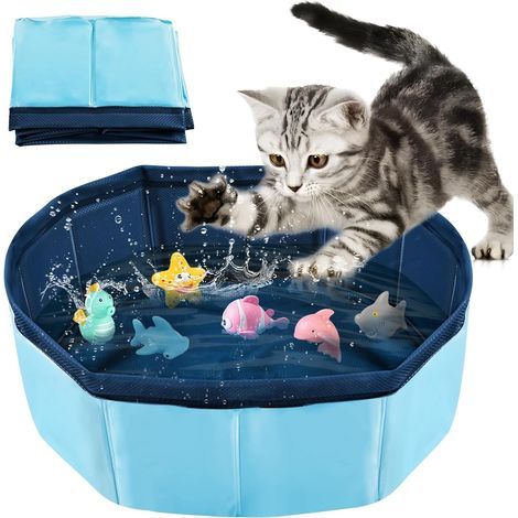 faltbarer Pool, umweltfreundliches PVC, rutschfester Boden, für Katzen und Hunde, zum Baden und für Wasserspiele (1/5)
