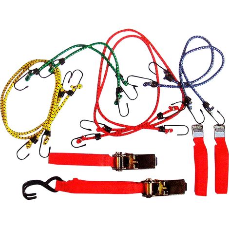 Correas y bridas para equipaje, 12 uds.