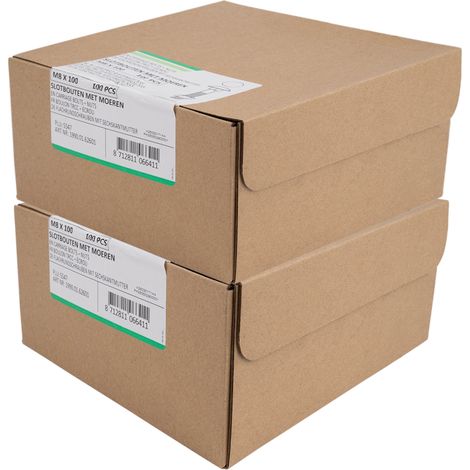 Schlossschrauben Verzinkt M8 x 100 mm - Überkarton 200 Stück