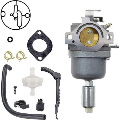 Carburateur pour Moteurs Briggs & Stratton 287707 287776 287777 310707 310777 698620 690194 791886 799727 496796 499153 695412 792768 Remplacement du carburateur (1/5)