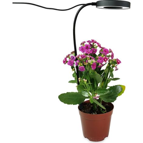 Pflanzenlampe mit 3-9-12-Stunden-Timer, 48 Vollspektrum-LEDs, 5 W, 180° verstellbar (1/5)