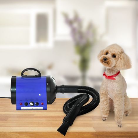 PawHut Profi-Haartrockner, Pflegehaartrockner, Hochvolt-Haartrockner für Hunde, Katzen und andere Tiere, 2800 W, einstellbare Geschwindigkeit und Temperatur, 3 austauschbare Düsen inklusive, Blau