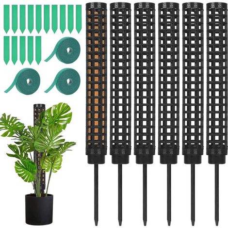 Tuteur Plante - 6pcs Poteau de Plante grimpante en Pot, Tuteur Plante Grimpante, Tuteurs pour Plantes Grimpantes,Tuteur pour Plantes Grimpantes,25CM