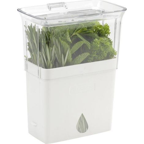 Blanc 23cm x 18cm x 11cm Boîte À Herbes Fraîches, Pot De Rangement/Conservation D’Herbes, Plastique (1/5)
