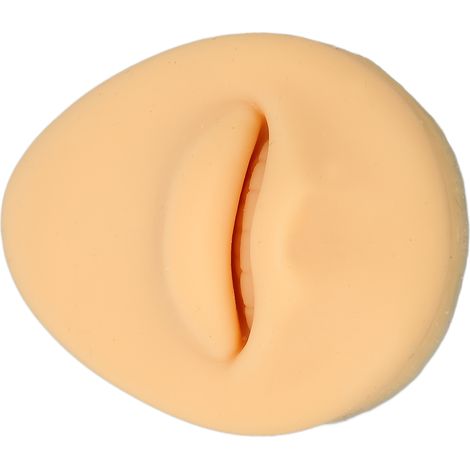 Modèle de Bouche Humaine en Silicone Souple pour Démonstration Dentaire et Formation Médicale (1/5)