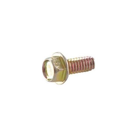 690297 - Vis pour moteur BRIGGS et STRATTON