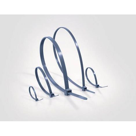HellermannTyton 111-01665 MCTPP30R-PPMP-BU Serre-câble bleu 100 pc(s) R012811