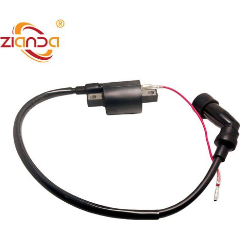 Bobine d'allumage pour moto compatible avec la bobine haute tension 1UY-82310-41-00 pour véhicules tout-terrain Yamaha YFM250, YFM200DX et YFM350X. (1/5)