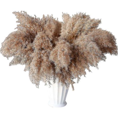 30 tiges d'herbe de la pampa séchée, herbe de la pampa sauvage, herbe de la pampa duveteuse et florale, 43 cm de hauteur, en vrac, pour la décoration. (1/5)