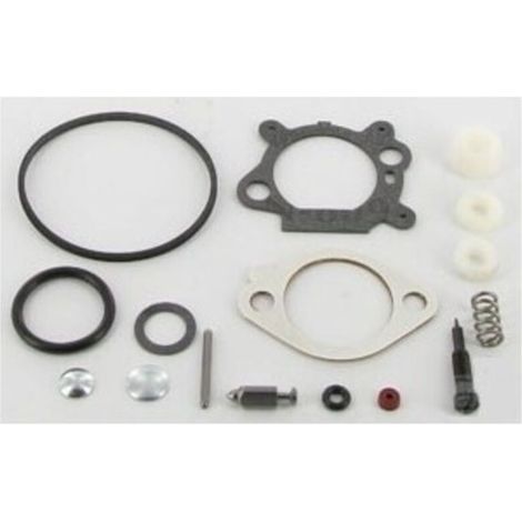 498260 - Kit joints de carburateur pour moteur Briggs et Stratton (1/2)