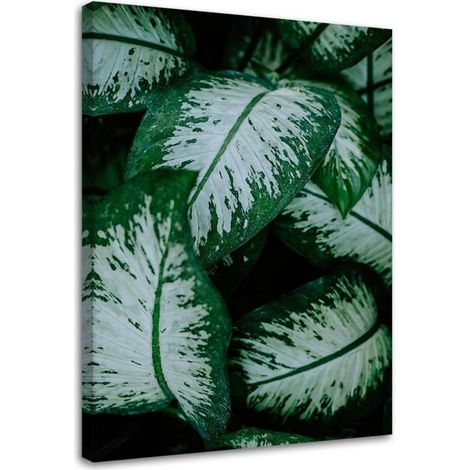 Tableau sur toile Vert Feuille Nature Plante 40x60 (1/5)