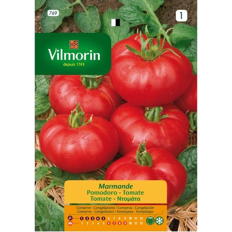 VILMORIN Semillas de TOMATE MARMANDE S-1 769, 5 gr