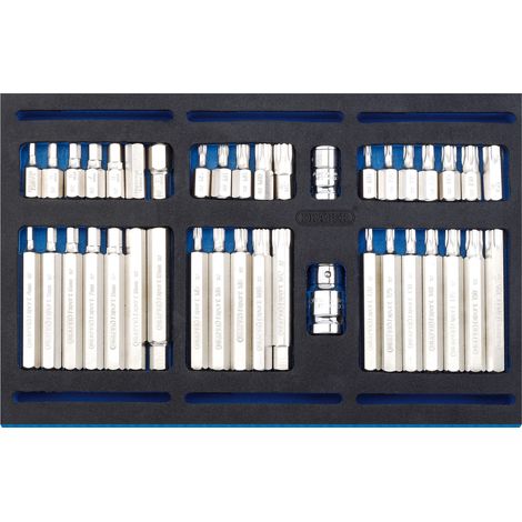 Draper Expert 40-Piece 1/4 Inch Screwdriver Insert Bit Set with EVA Storage Tray (1/5)