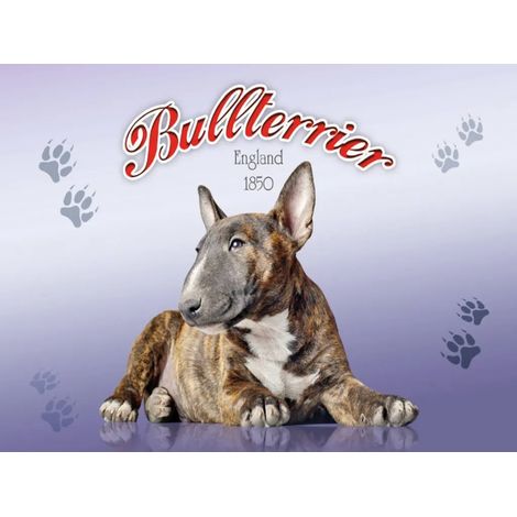 Panneau en bois 30x40 cm, chien, Bull Terrier, Angleterre 1850 (1/3)