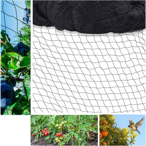 Rete anti-uccelli 10 m x 10 m, nera, resistente agli strappi, per pollai e voliere, per proteggere alberi da frutto e ortaggi dai danni causati dagli uccelli (maglia 5 x 5 cm, fori larghi).