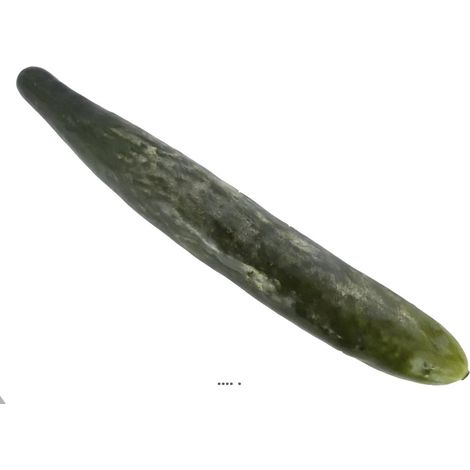 Concombre factice légume artificiel D 4 cm et Longueur 26 cm