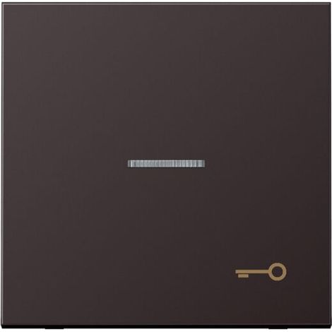 Jung Wippe mit Lichtleiter, Symbol Tür, Aluminium lackiert, Serie LS, dark (lackiertes Aluminium) AL2990KO5TD