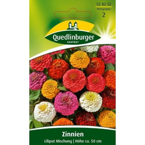 Quedlinburger Zinnien Lilliput Mischung - Blumensamen (1/2)