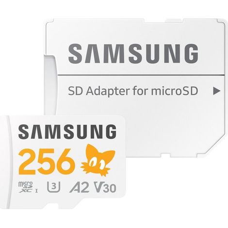 Carte mémoire micro SD Samsung Sonic PRO Plus 256 Go (1/5)