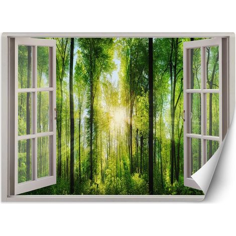 Carta Da Parati, Vista finestra raggi di sole nella foresta - 140x100 (1/5)