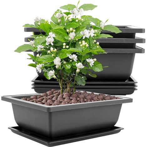 Lot de 8 grands bols à bonsaï - 23 x 17 x 8 cm - Avec plateaux - En plastique - Convient pour les jardins, les cours, les bureaux, le salon, les balcons (noir) (1/5)