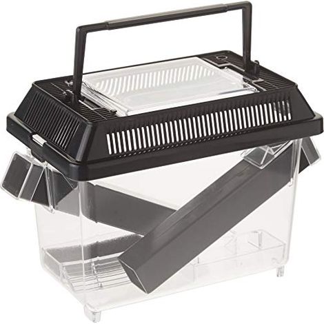 Exo Terra PT2285 Cricket Box con 2 Tubi + 1 Spugna (1/4)