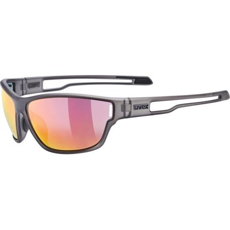 Uvex 5330872213 gafa deportiva Unisex De aro entero Gris (1/4)