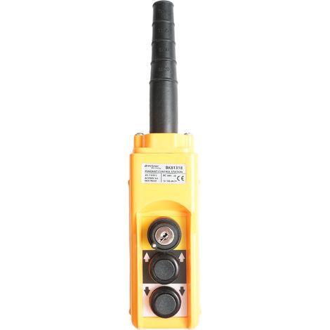 Telecomando industriale con 2 comandi e interruttore generale con chiave – AC 250V/5A – 500V/2A Breckner Germany (1/5)