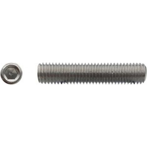 Vis sans tête à bout cuvette six pans creux (STHC) Inox A2 - 6 x 35 mm - BIVI (1/2)
