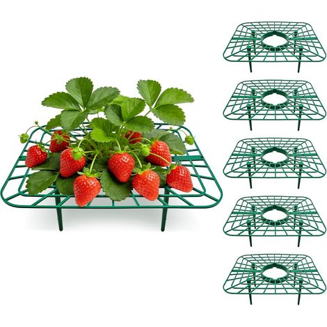 6 Pièces - Support Fraisier - Tuteur Carré - Protection Fruits Contre Sol Et Ravageurs - Pour Jardin Pot Et Jardinière - Vert - 25x20x9.5cm (1/5)