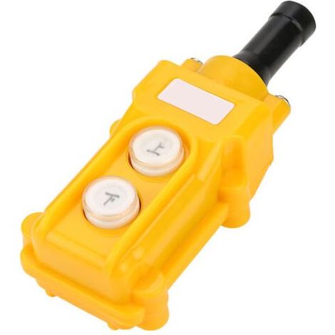 Grue d'atelier palan à chaîne 500kg – Interrupteur à bouton-poussoir – Commande durable en plastique ABS – Pour environnements humides (1/5)
