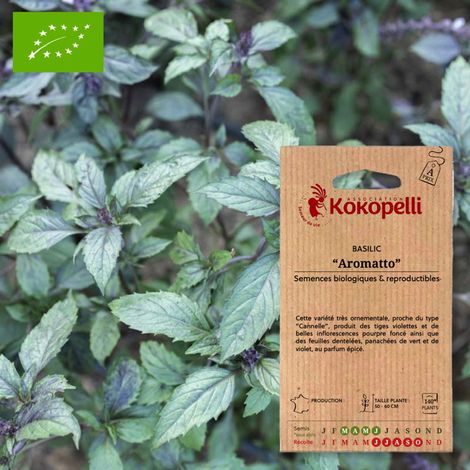Basilic Aromatto- Graines bio à semer (1/2)