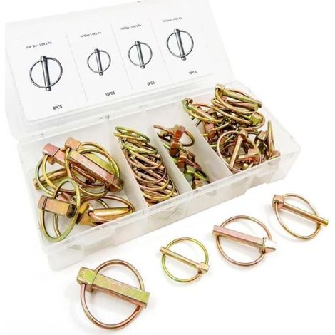 ASSORTIMENTO 50 SPINE COPPIGLIE A SCATTO FERMI COPPIGLIE PERNI SPINOTTI CASSETTA (1/2)