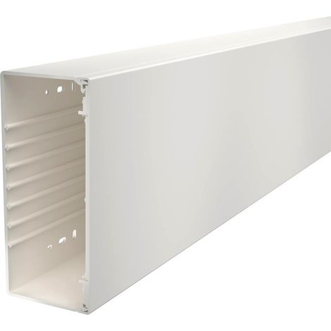 Canalina elettrica obo-bettermann wdk100230rw 230 mm 2 m