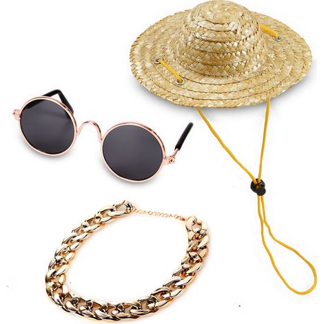Lunettes de soleil rondes rétro classiques amusantes pour animaux de compagnie et collier à chaîne dorée pour chats et petits chiens (1/5)