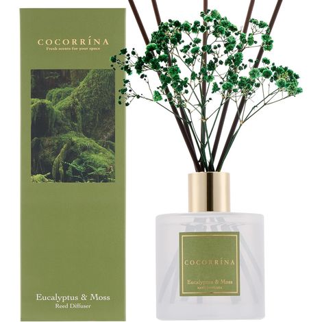 200ml Fragrance Diffuser with 8 Sticks, Eucalyptus (1/5)