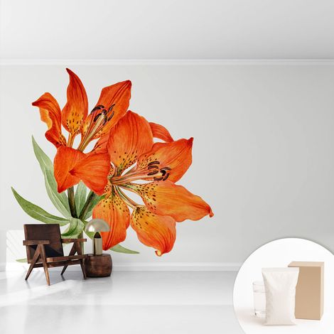 Tapete Vliestapete mit Kleber - Fototapete mit Motiv - Wandtapete modern - Wandgestaltung Orangefarbene Lilie 416x254 cm (1/5)