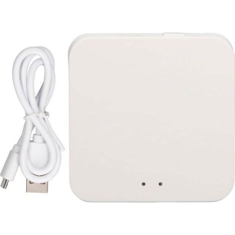 Passerelle Domestique Usb - Contrle Intelligent DAppareils Intelligents - Blanc PASSERELLE MULTIMEDIA
