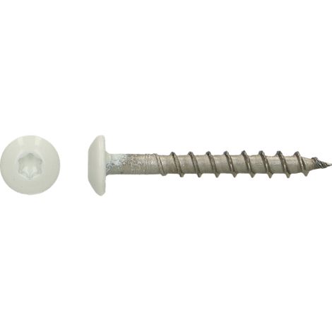 Vis Penture 4.5X35 TORX T20 Inox A4 RAL9010 blanc pur-30 pièces