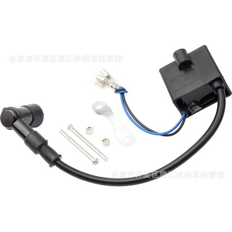 Mini motorcycle/bicycle accessories 50cc/80cc 2-stroke high-voltage coil ignition coil mounting screws (1/5)