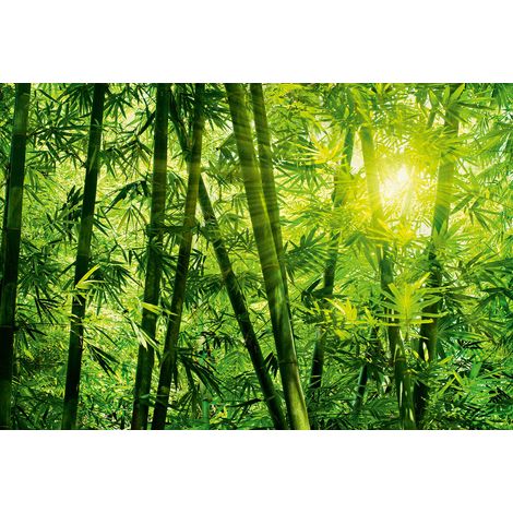 Papier peint panoramique bambou vert soleil | Tapisserie panoramique angle de mur effet fraîcheur | Papier peint panoramique nature aspect moderne - 384 X 260 cm (8 pièces) (1/4)