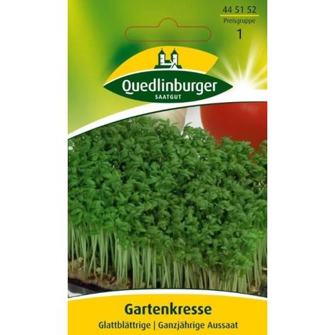 Quedlinburger Gartenkresse Glattblättrige - Kräutersamen (1/2)